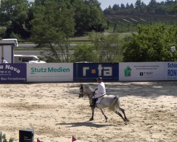 Reitturnier Wädenswil 2023