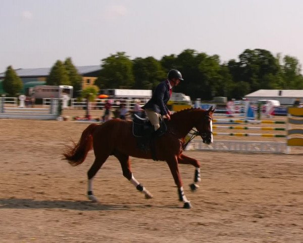 Reitturnier Neustadt/Dosse 2023