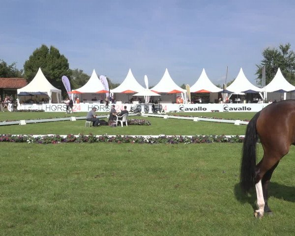 Horse24 Deutsches Elite-Stutenchampionat 2023