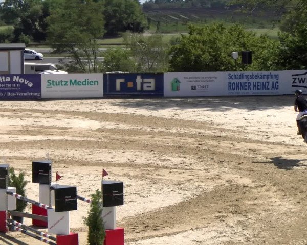 Reitturnier Wädenswil 2023