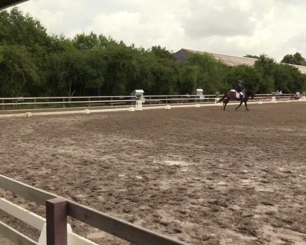 Reitturnier Kleinsolt 2023