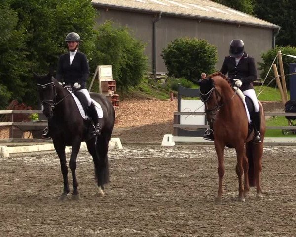 Reitturnier Kleinsolt 2023