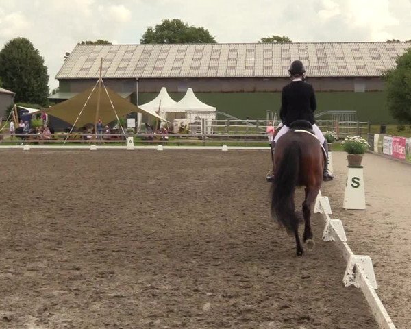 Reitturnier Kleinsolt 2023