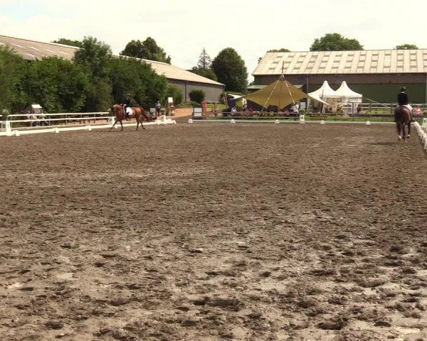 Reitturnier Kleinsolt 2023