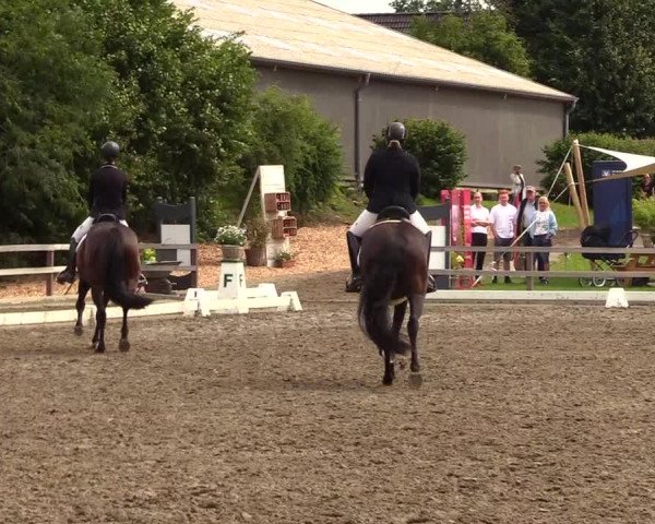 Reitturnier Kleinsolt 2023