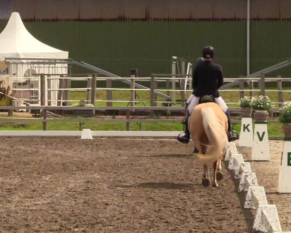 Reitturnier Kleinsolt 2023