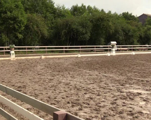 Reitturnier Kleinsolt 2023