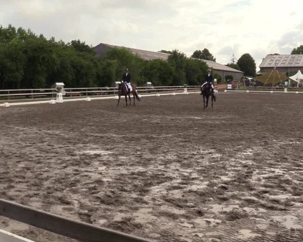 Reitturnier Kleinsolt 2023