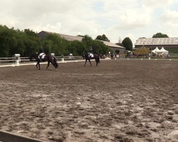 Reitturnier Kleinsolt 2023