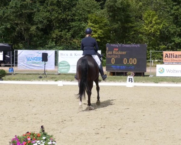 Reitturnier Heiligenwald 2023