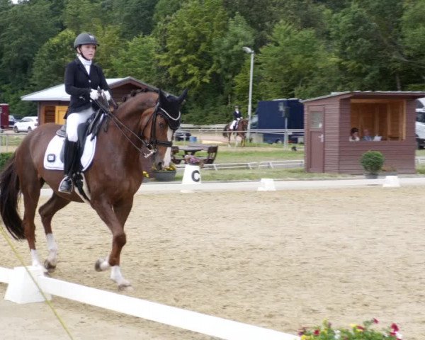 Reitturnier Heiligenwald 2023
