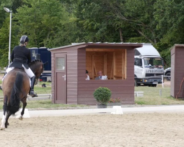Reitturnier Heiligenwald 2023