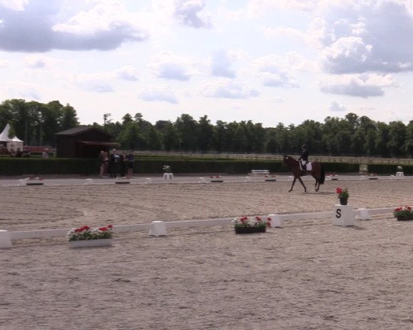 Reitturnier Neustadt/Dosse 2023