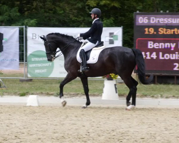 Reitturnier Heiligenwald 2023