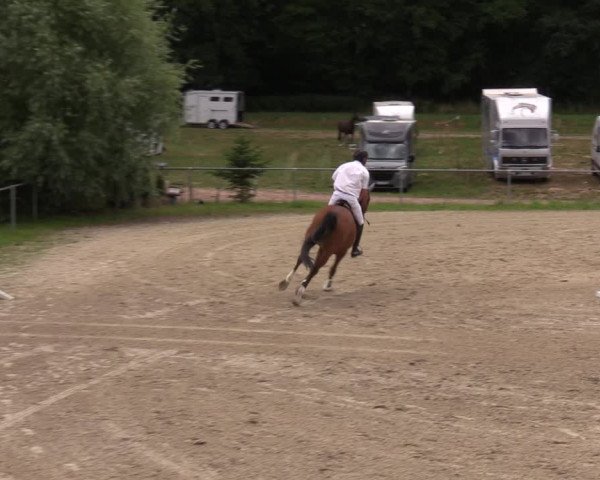 Reitturnier Bad Liebenstein/Sorga 2023