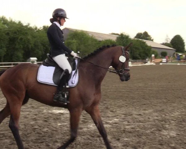 Reitturnier Kleinsolt 2023