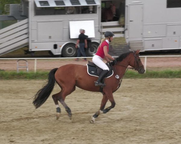 Reitturnier Heiligenwald 2023