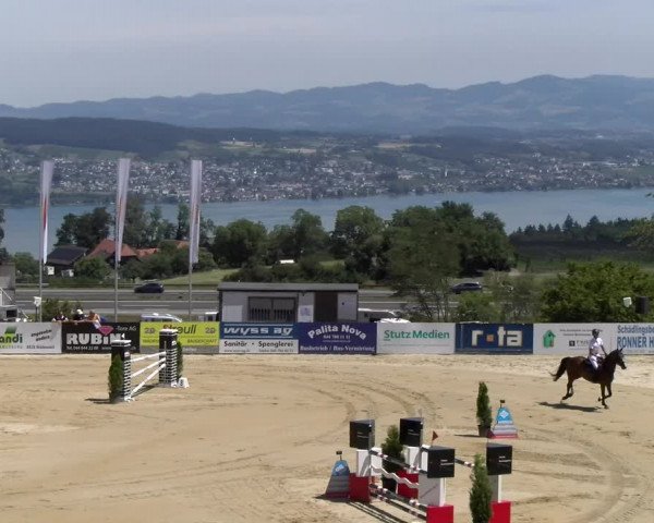 Reitturnier Wädenswil 2023