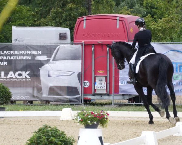 Reitturnier Heiligenwald 2023