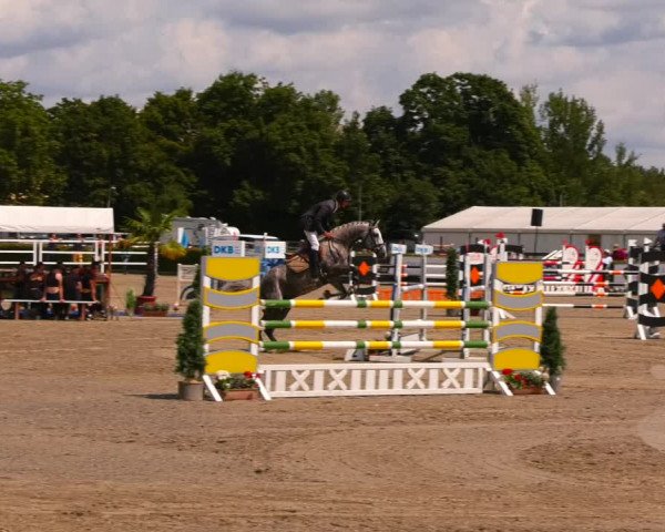Reitturnier Neustadt/Dosse 2023