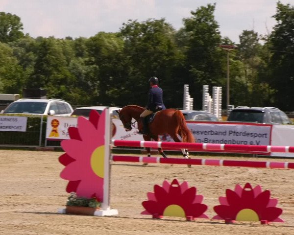 Reitturnier Neustadt/Dosse 2023