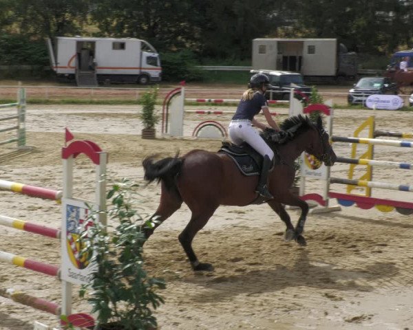 Reitturnier Heiligenwald 2023