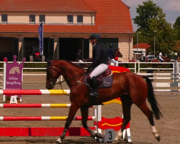 Reitturnier Neustadt/Dosse 2023