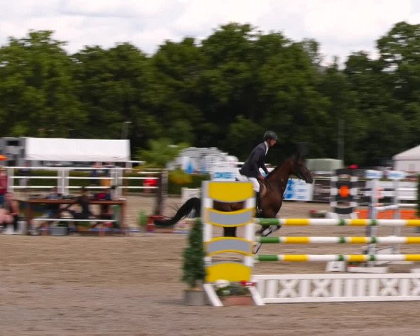 Reitturnier Neustadt/Dosse 2023