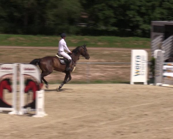 Reitturnier Bad Liebenstein/Sorga 2023