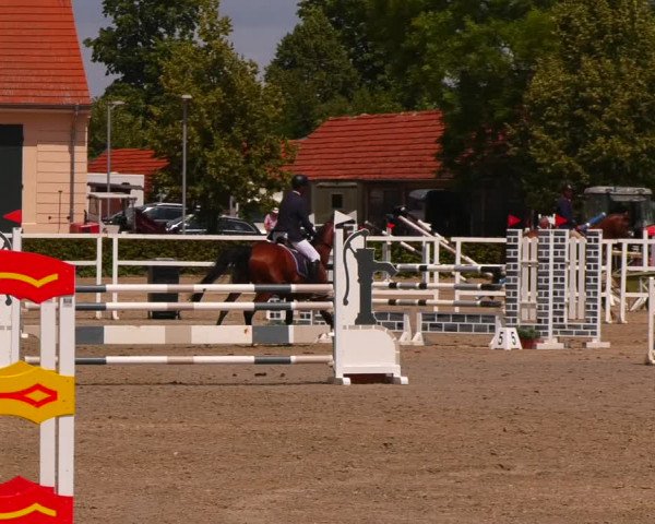 Reitturnier Neustadt/Dosse 2023