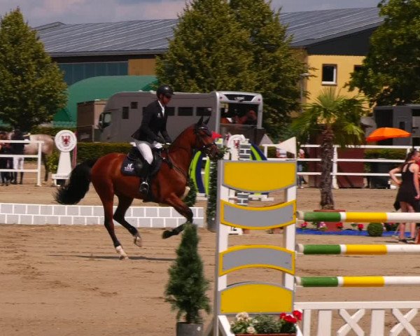 Reitturnier Neustadt/Dosse 2023