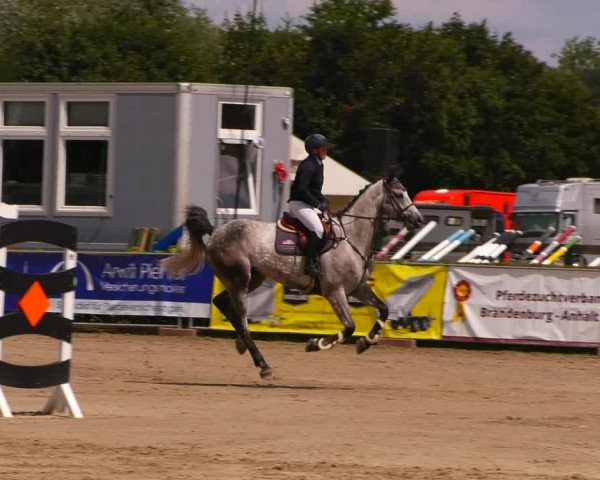 Reitturnier Neustadt/Dosse 2023