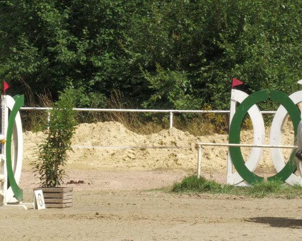Reitturnier Heiligenwald 2023