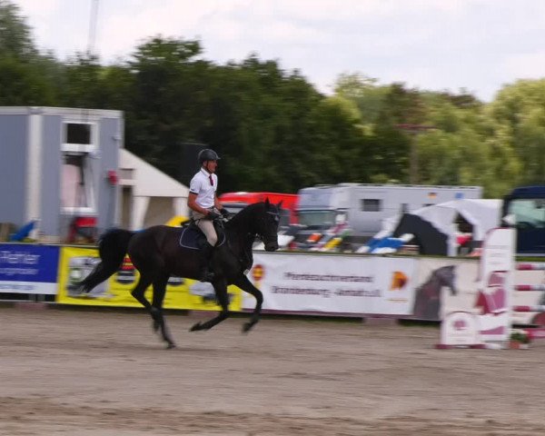 Reitturnier Neustadt/Dosse 2023