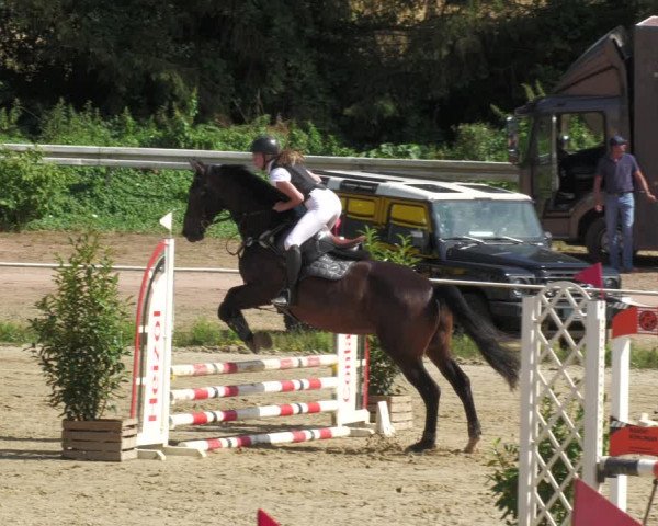 Reitturnier Heiligenwald 2023