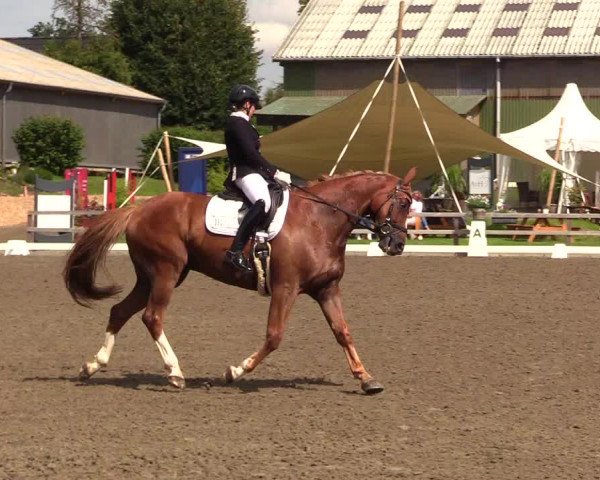 Reitturnier Kleinsolt 2023