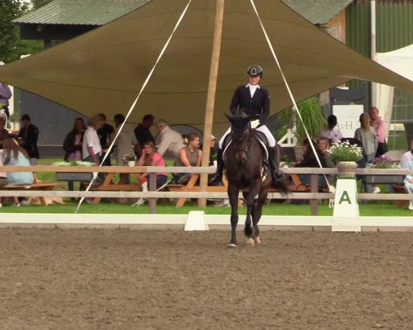 Reitturnier Kleinsolt 2023