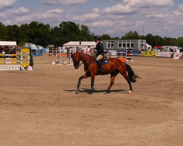 Reitturnier Neustadt/Dosse 2023