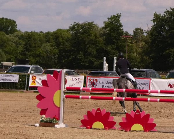 Reitturnier Neustadt/Dosse 2023