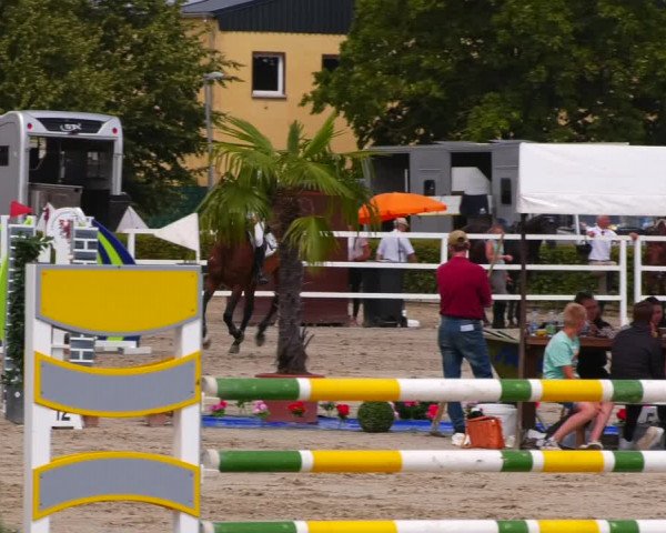 Reitturnier Neustadt/Dosse 2023
