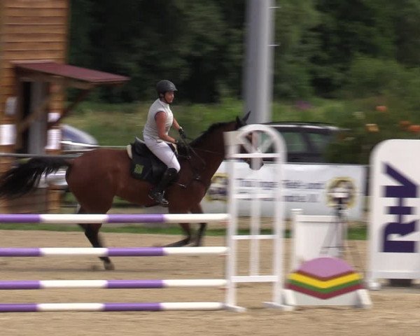 Reitturnier Bad Liebenstein/Sorga 2023