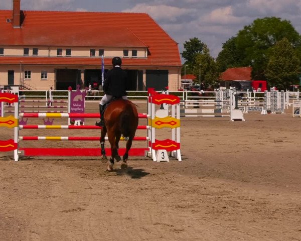 Reitturnier Neustadt/Dosse 2023