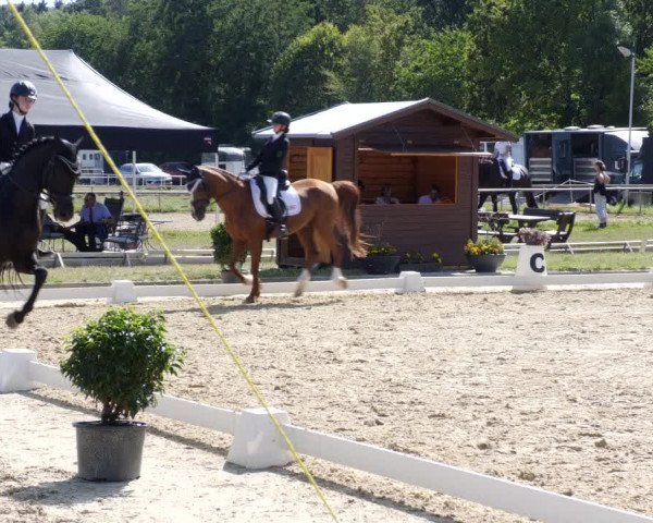 Reitturnier Heiligenwald 2023