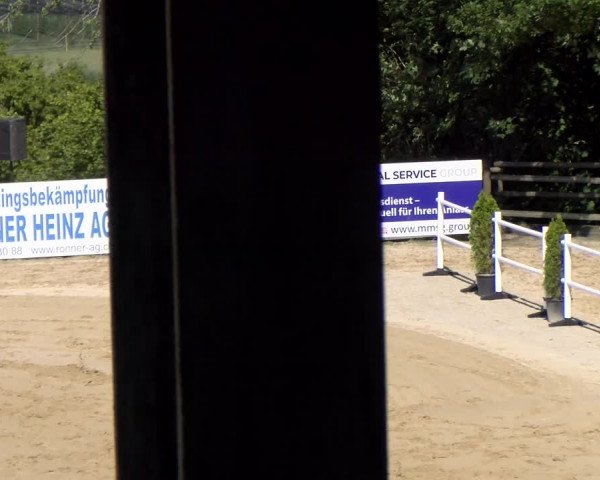 Reitturnier Wädenswil 2023
