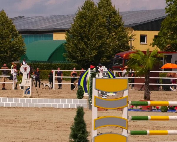 Reitturnier Neustadt/Dosse 2023