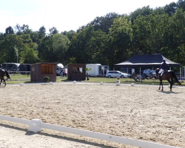 Reitturnier Heiligenwald 2023