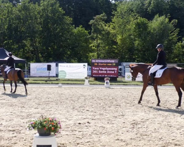 Reitturnier Heiligenwald 2023