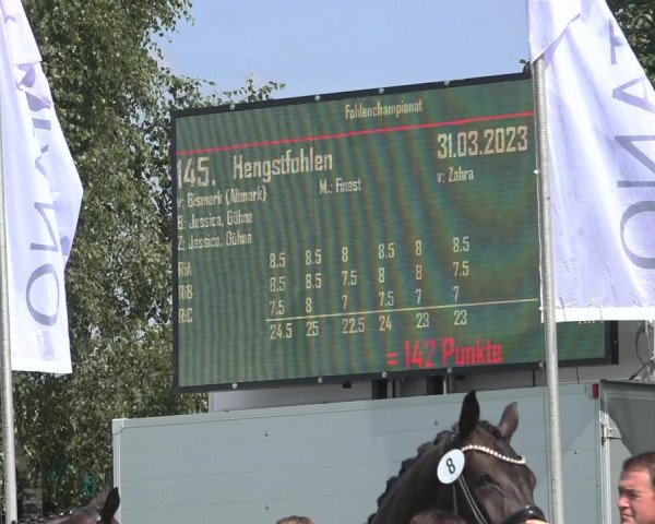 Horse24 Deutsches Elite-Stutenchampionat 2023