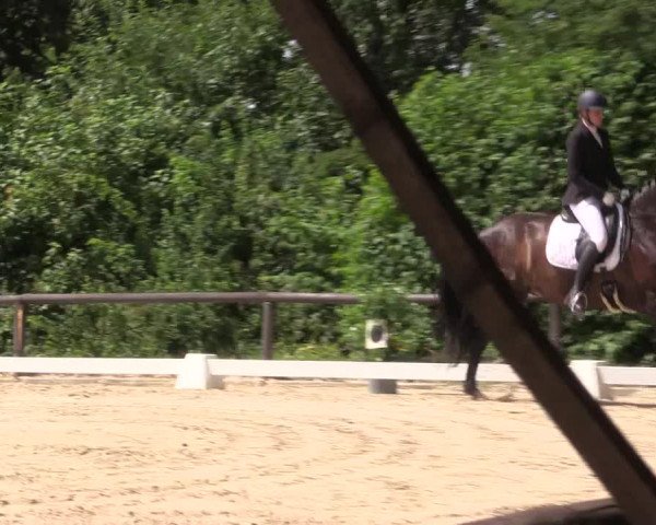 Reitturnier Marienheide-Kempershöhe 2023