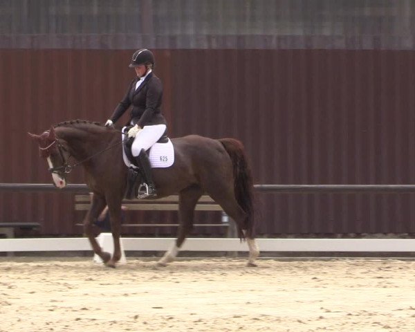 Reitturnier Marienheide-Kempershöhe 2023